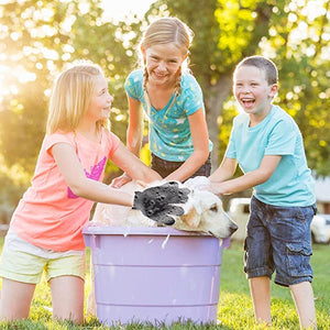 gants en peigne pour animaux