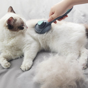 Brosse autonettoyante pour chats et chiens