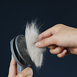 Brosse autonettoyante pour chats et chiens