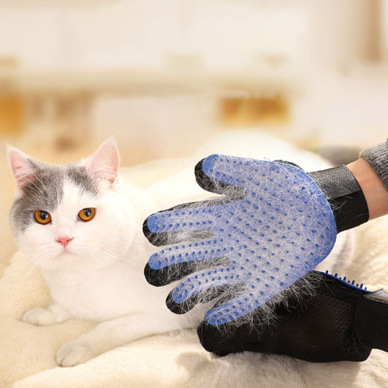 gants en peigne pour animaux