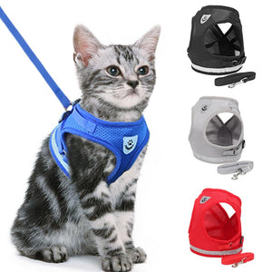 Harnais et laisse pour chats et chiens