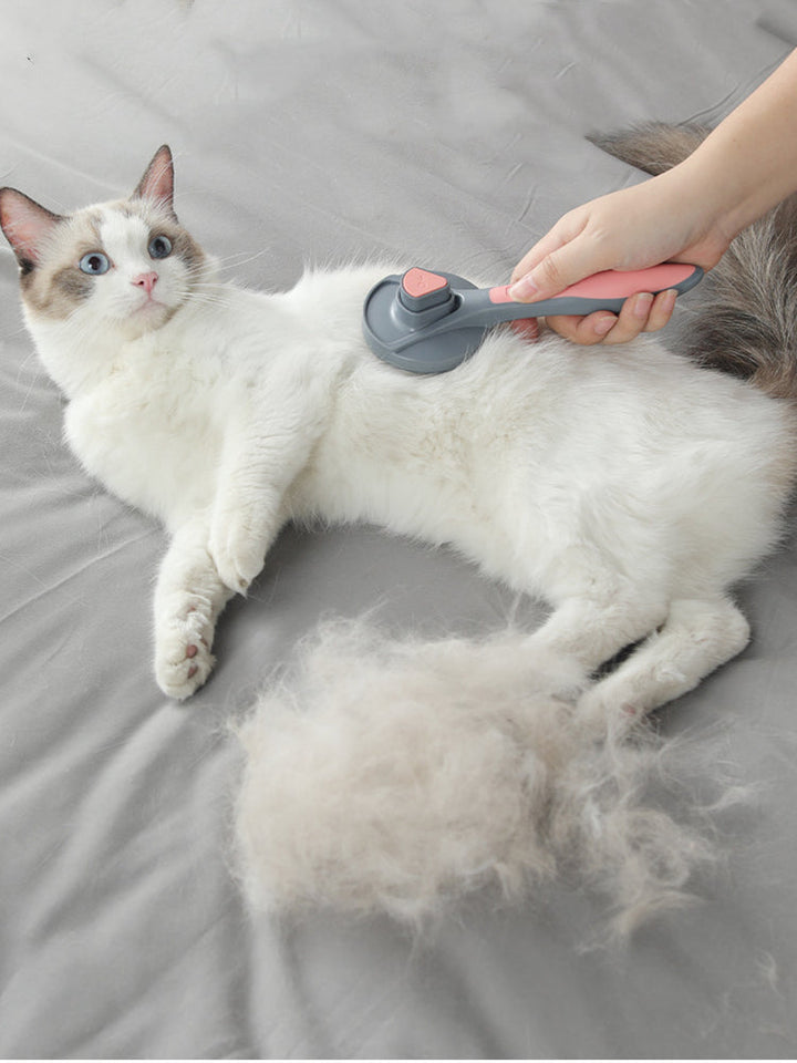 Brosse autonettoyante pour chats et chiens