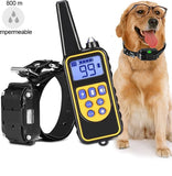 Collier de dressage pour chien étanche et rechargeable